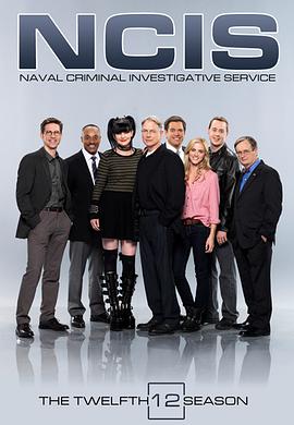 海军罪案调查处 第十二季 第08集
