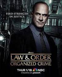 法律与秩序：组织犯罪 第四季 第01集