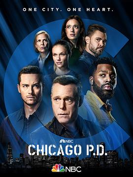 芝加哥警署第九季(全集)