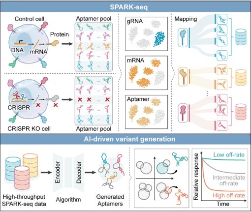 Science 谭蔚泓吴芩团队合作发布SPARK-seq：一